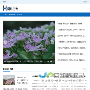 鸿运当头